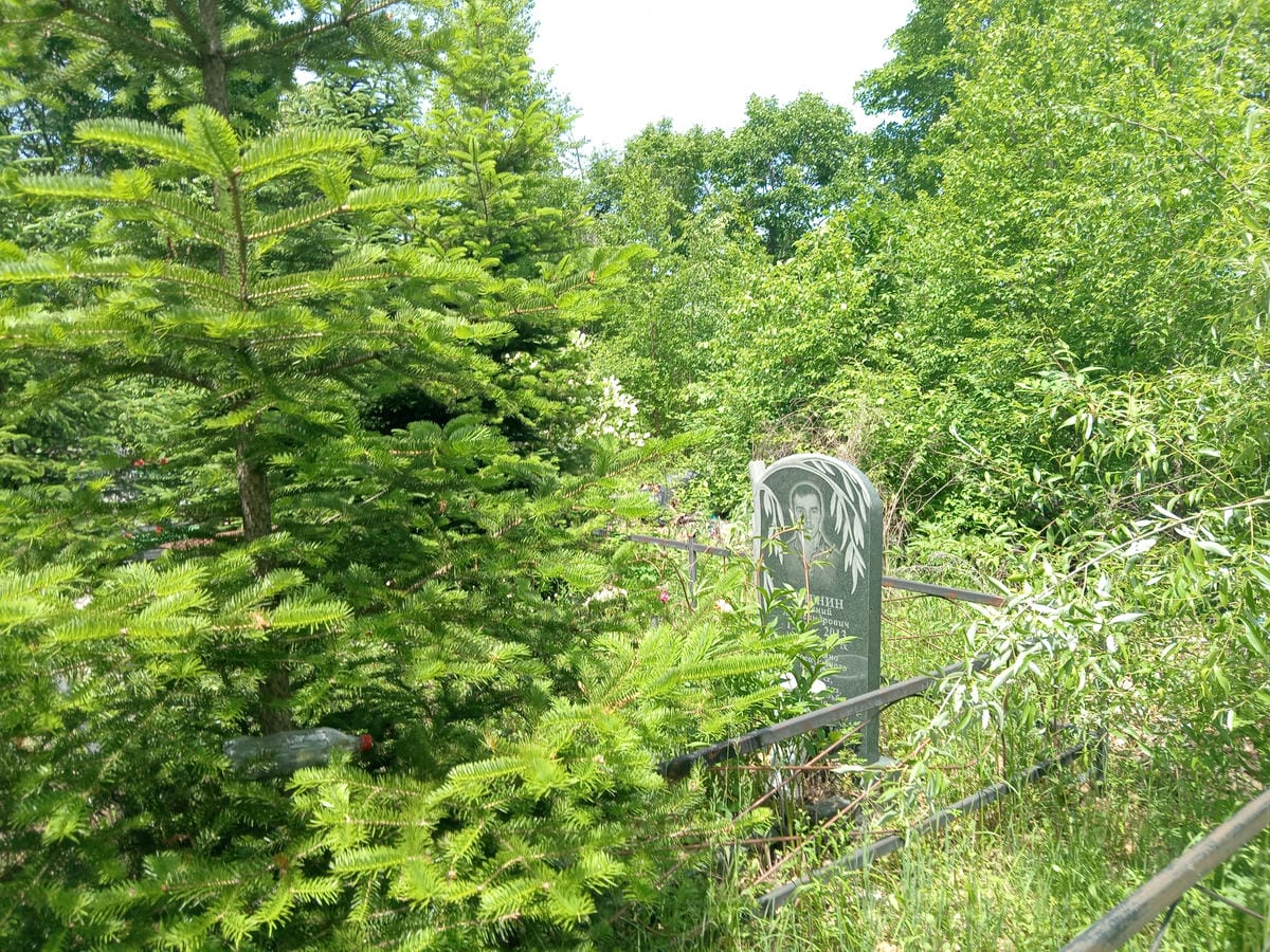 841ca6ed-f3e3-4cef-aea2-78b7589ff1fe Боченин Евгений Александрович