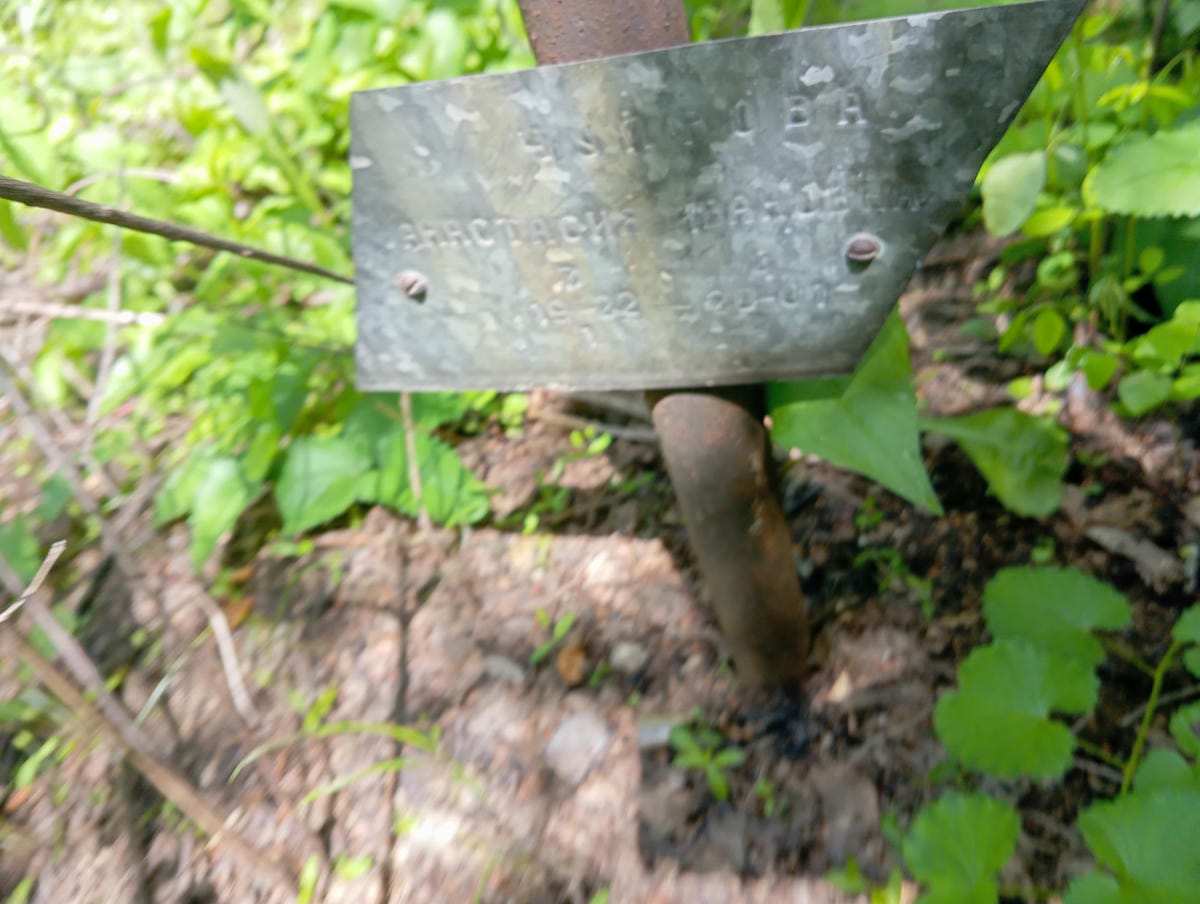 Чупрова Анастасия Ивановна