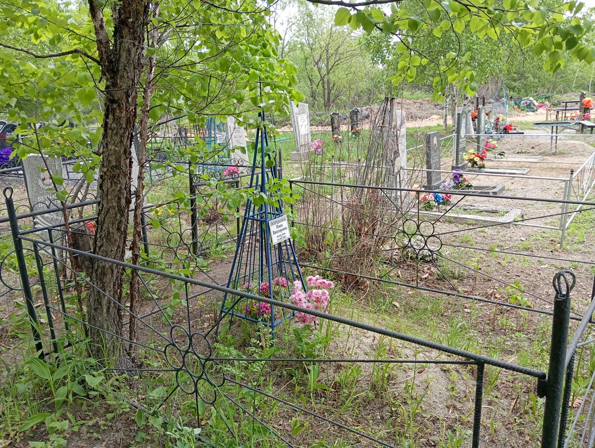 84ee5288-816b-4f43-93f3-86f7873a027a Порошонок Нина Викторовна