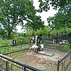 Манько Максим Юрьевич