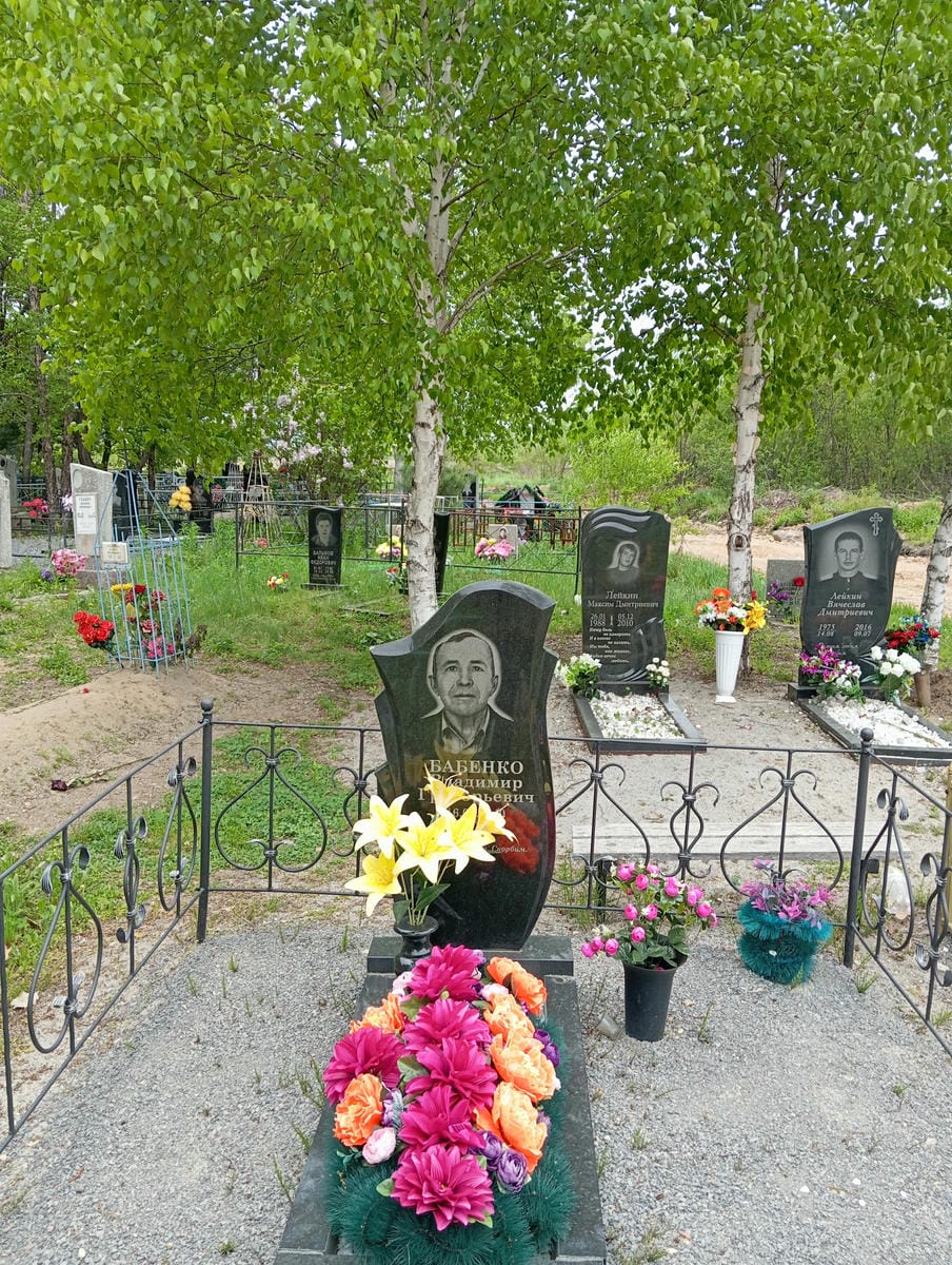 Бабенко Владимир Григорьевич