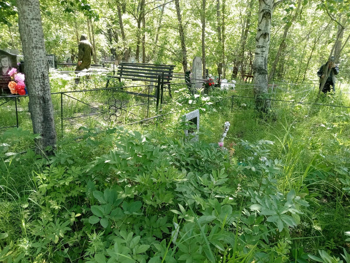 8560b3a3-a584-4798-9e8f-69b117d18506 Бойко Мотрена Григорьевна