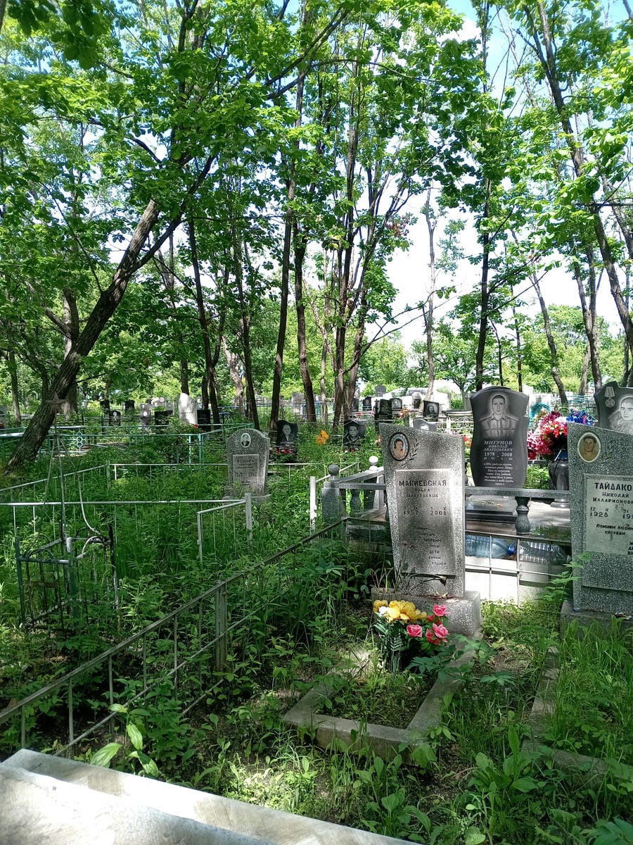 Макиевская Ольга Николаевна