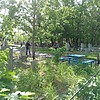 Лобанова Галина Дмитриевна