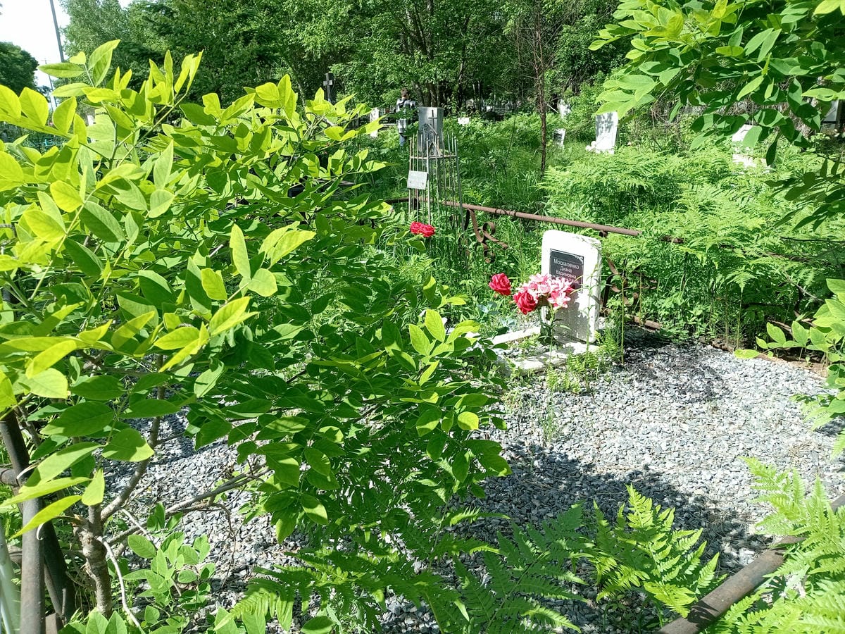 Балашова Вилена Васильевна