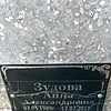 Зудова Анна Александровна