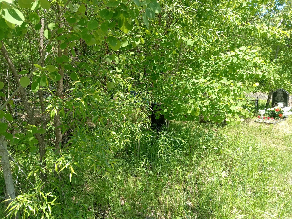 Мищенко Виктор Савельевич
