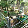 Николаенко Ольга Петровна