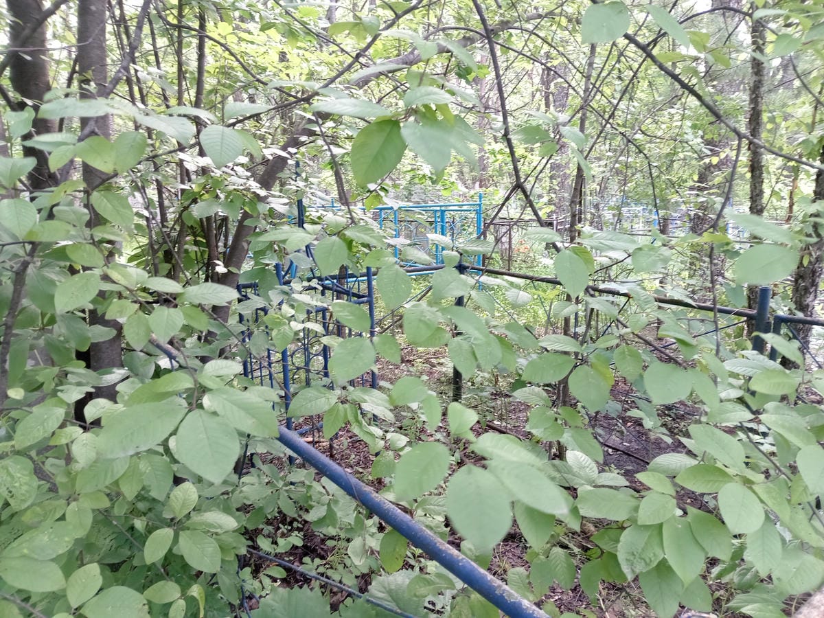 87c480b1-0b18-47de-b094-78694c19090f Неизвестно Неизвестно Неизвестно