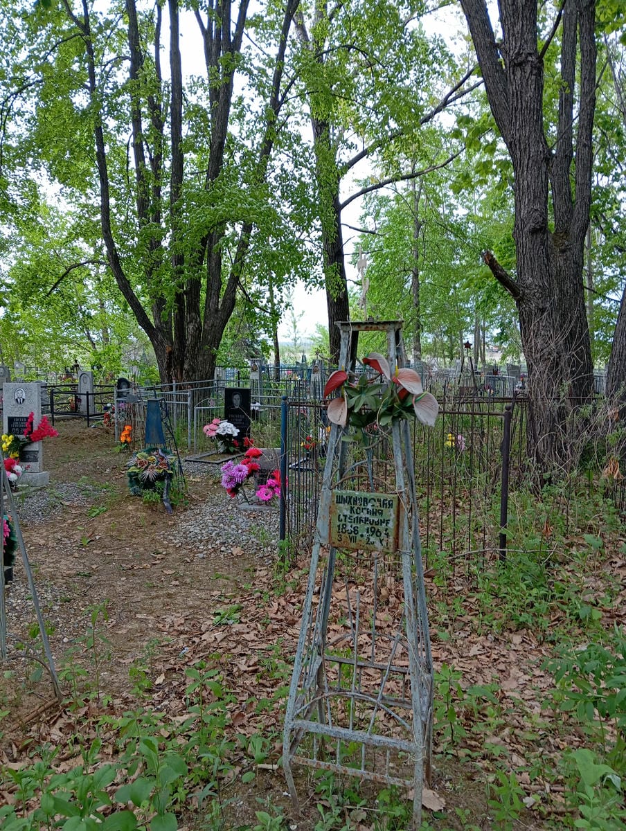 Шахновская Ксения Степановна