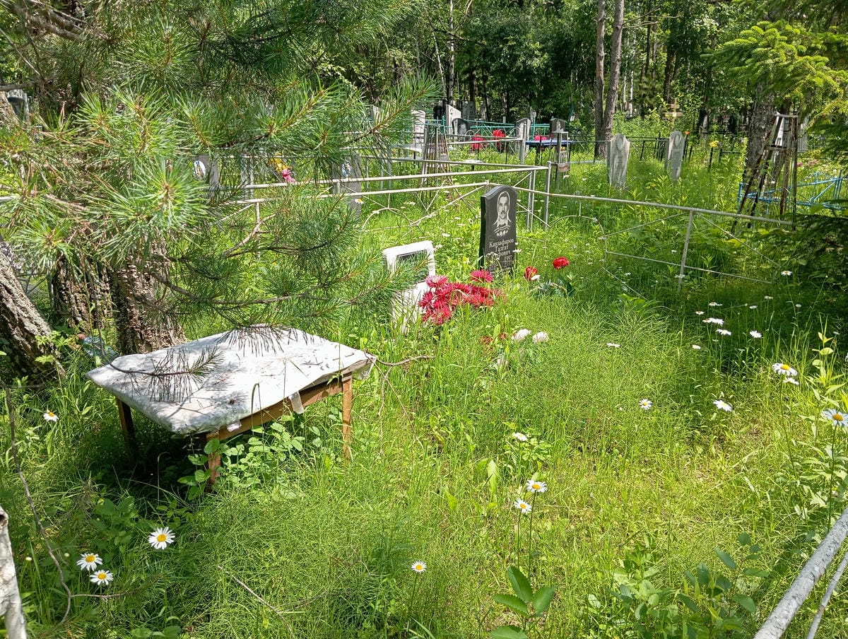 Васильченко Дарья Григорьевна