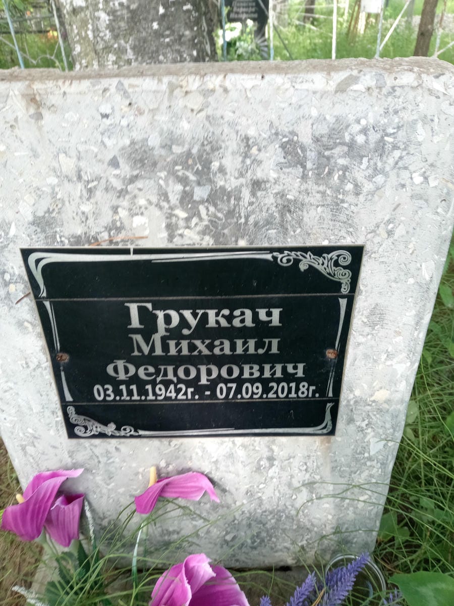 8928b93a-4822-4335-99ba-f840d8433058 Грукач Михаил Федорович