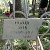 Ткачев Яков Степанович