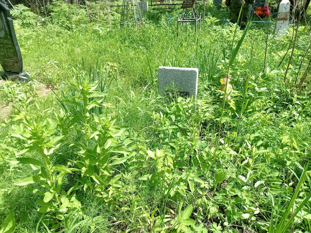 Чепурный Александр Владимирович