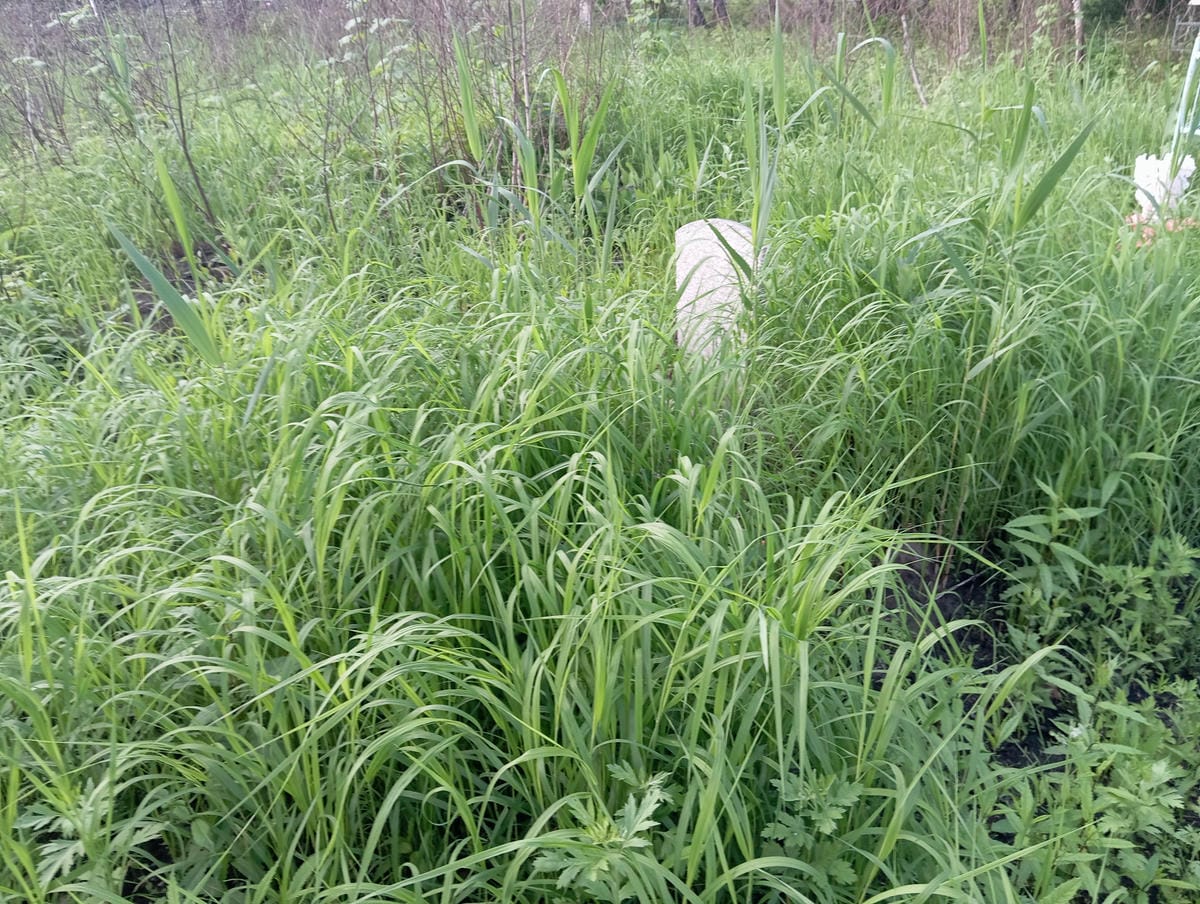 Неизвестно Неизвестно Неизвестно