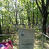 Гайдышева Мария Васильевна