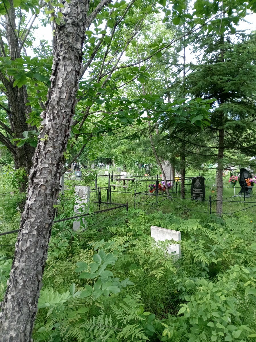 8b9c1798-a13c-40d7-8183-a2654f95cb92 Андреев Иван Николаевич