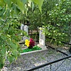 Семенова Галина Андреевна