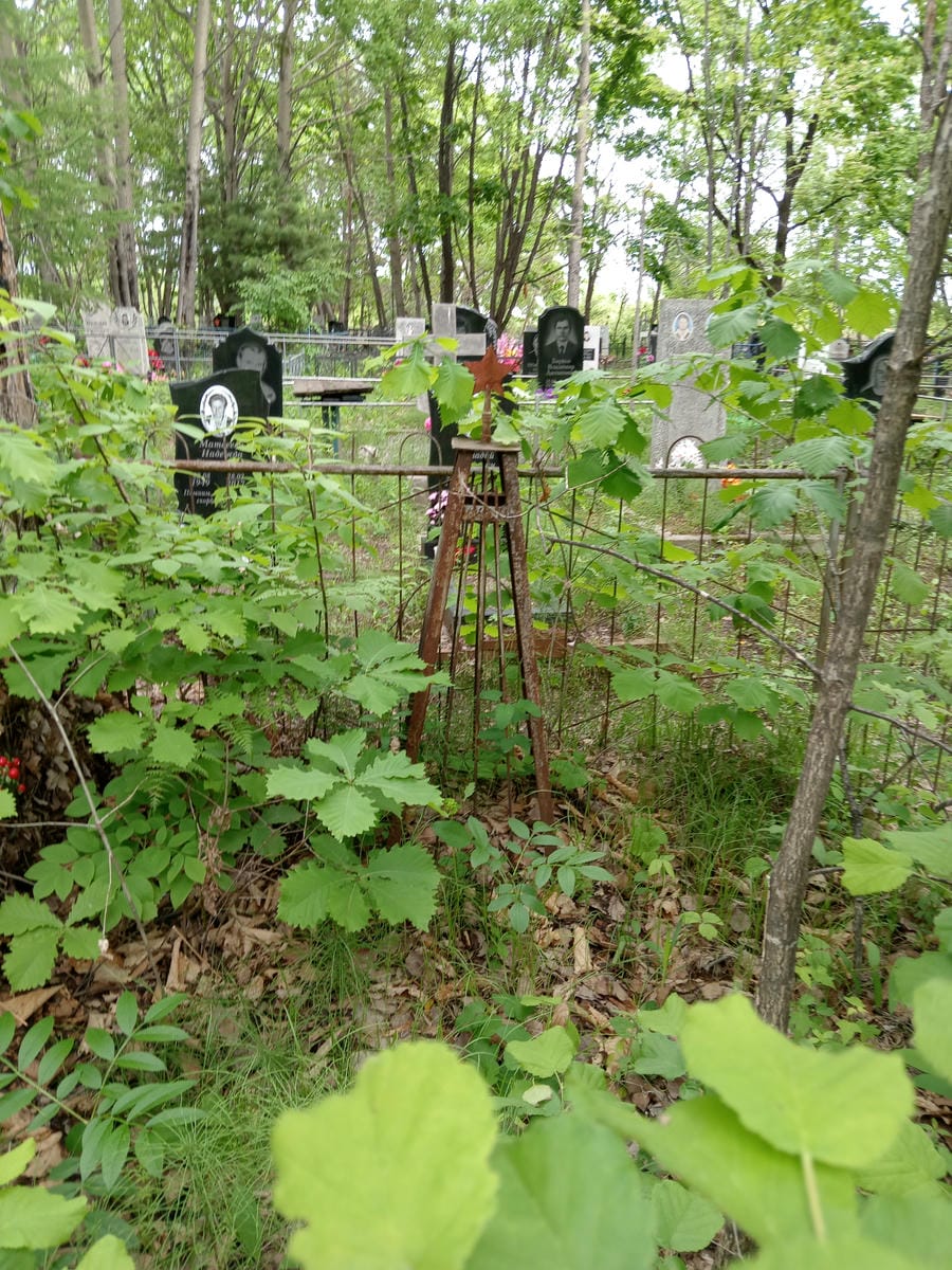 8bebd68f-65e7-4d80-8e06-4e620fa08c6c Неизвестно Неизвестно Неизвестно