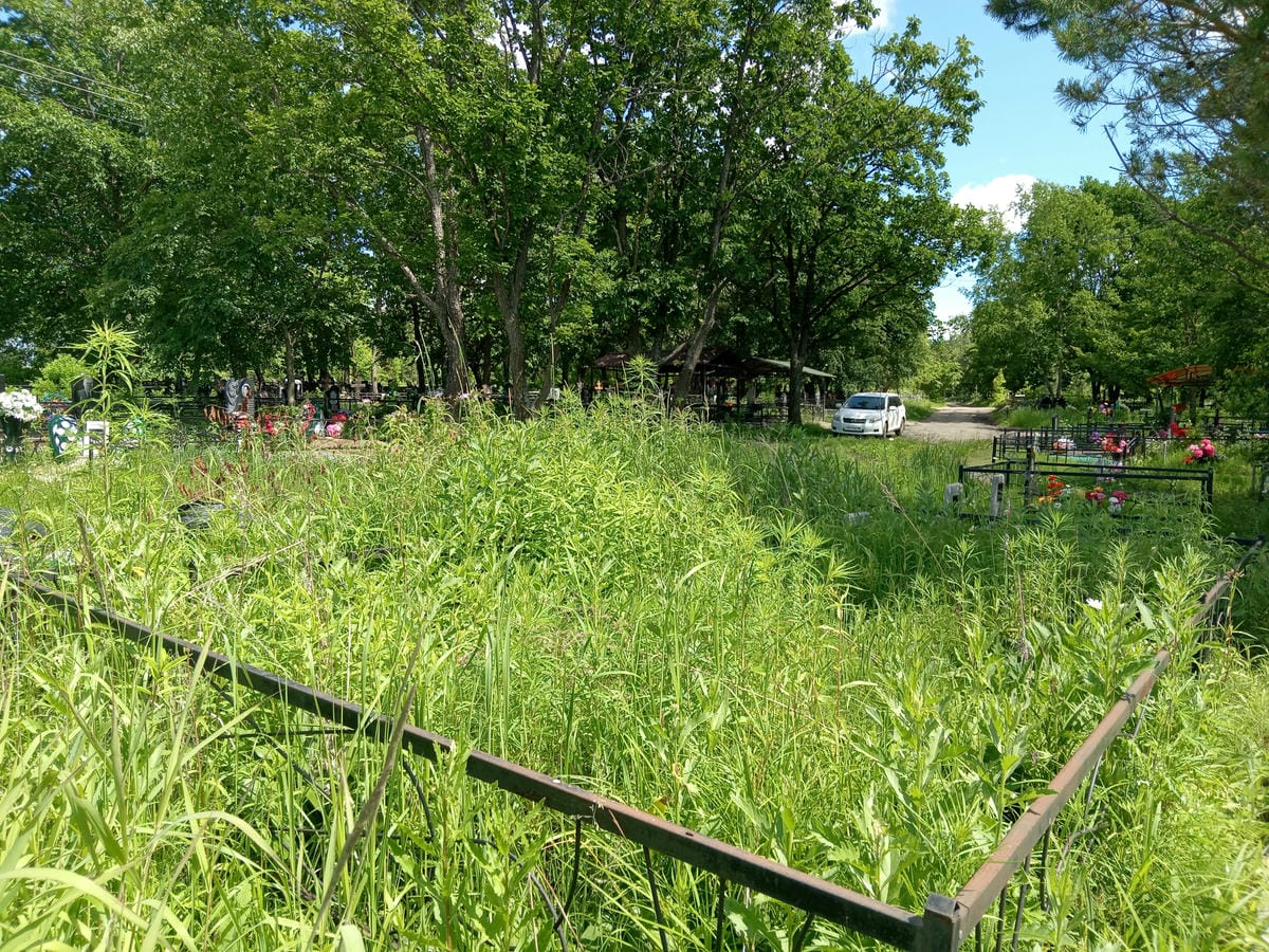 Тимотина Белла Яковлевна