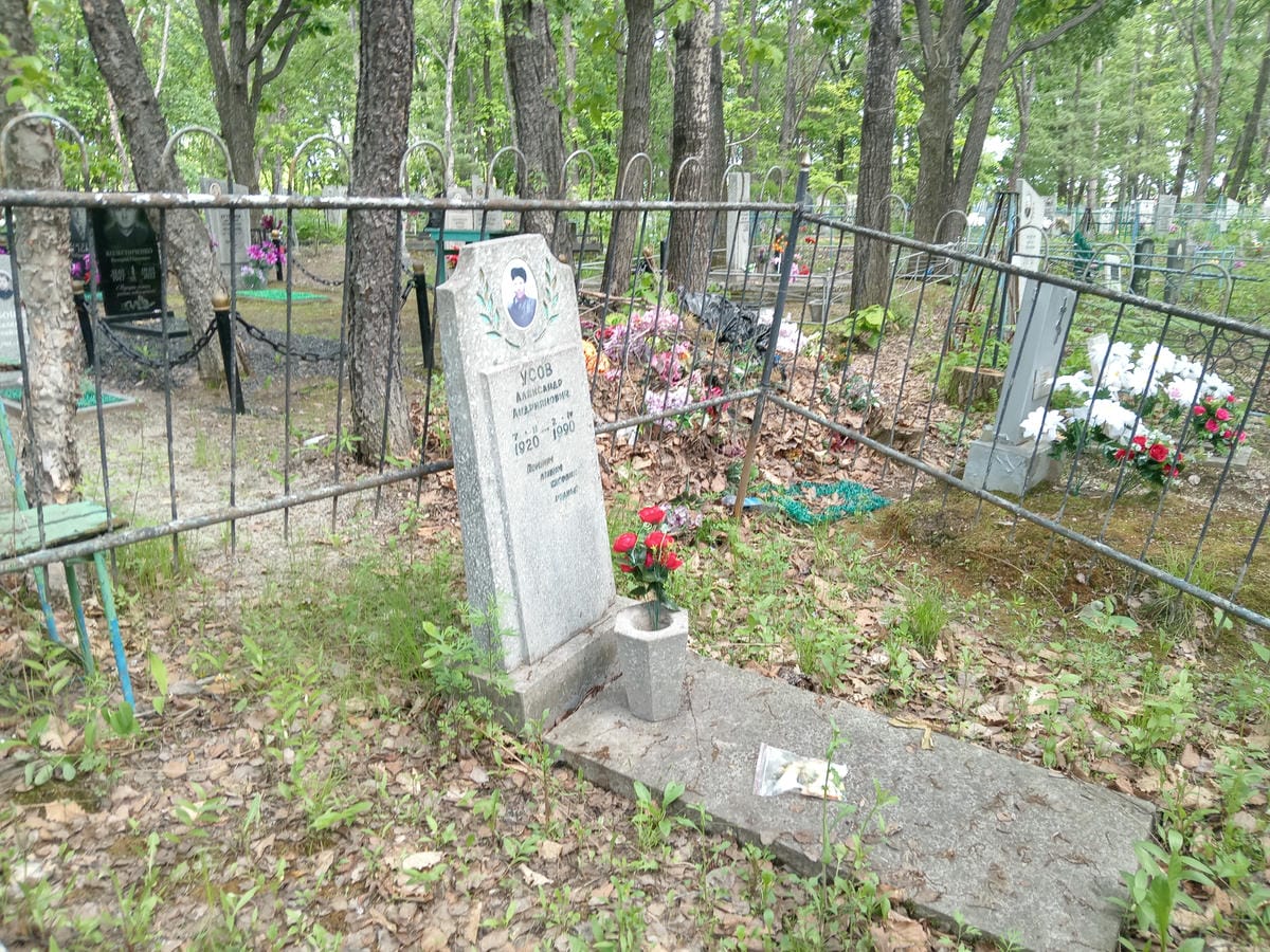 8d303900-cf93-4f36-aa86-5133e76a911d Усов Александр Андриянович