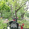Колечко Сергей Викторович