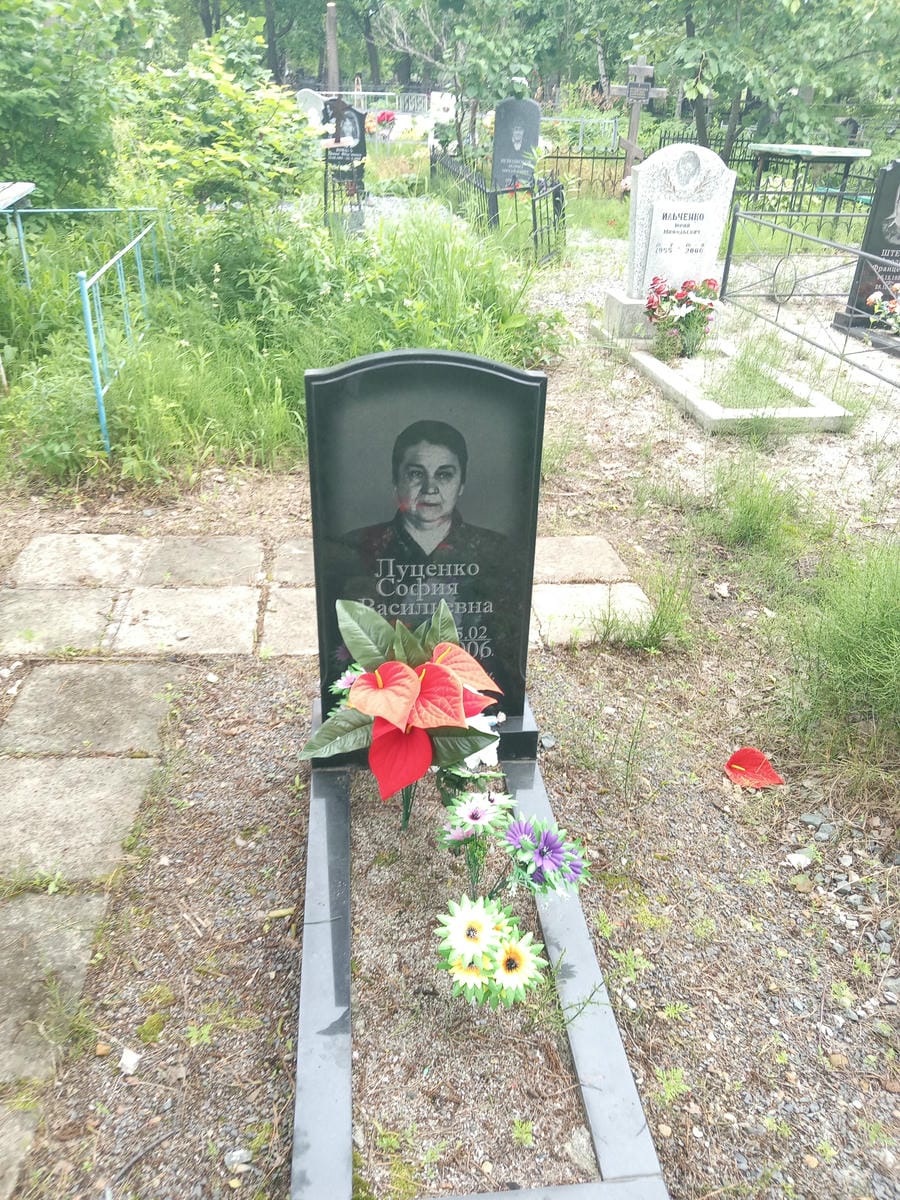 8d49432d-b1f3-4692-8a25-b207377b9b58 Луценко София Васильевна