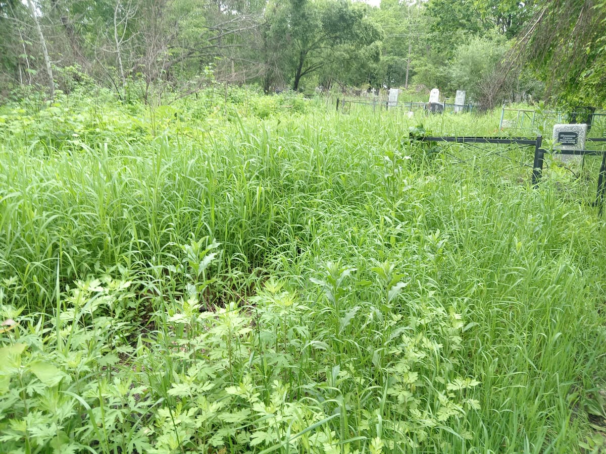 8d828705-a93b-4d57-9775-7bcc4c072cdf Обухов Григорий Александрович