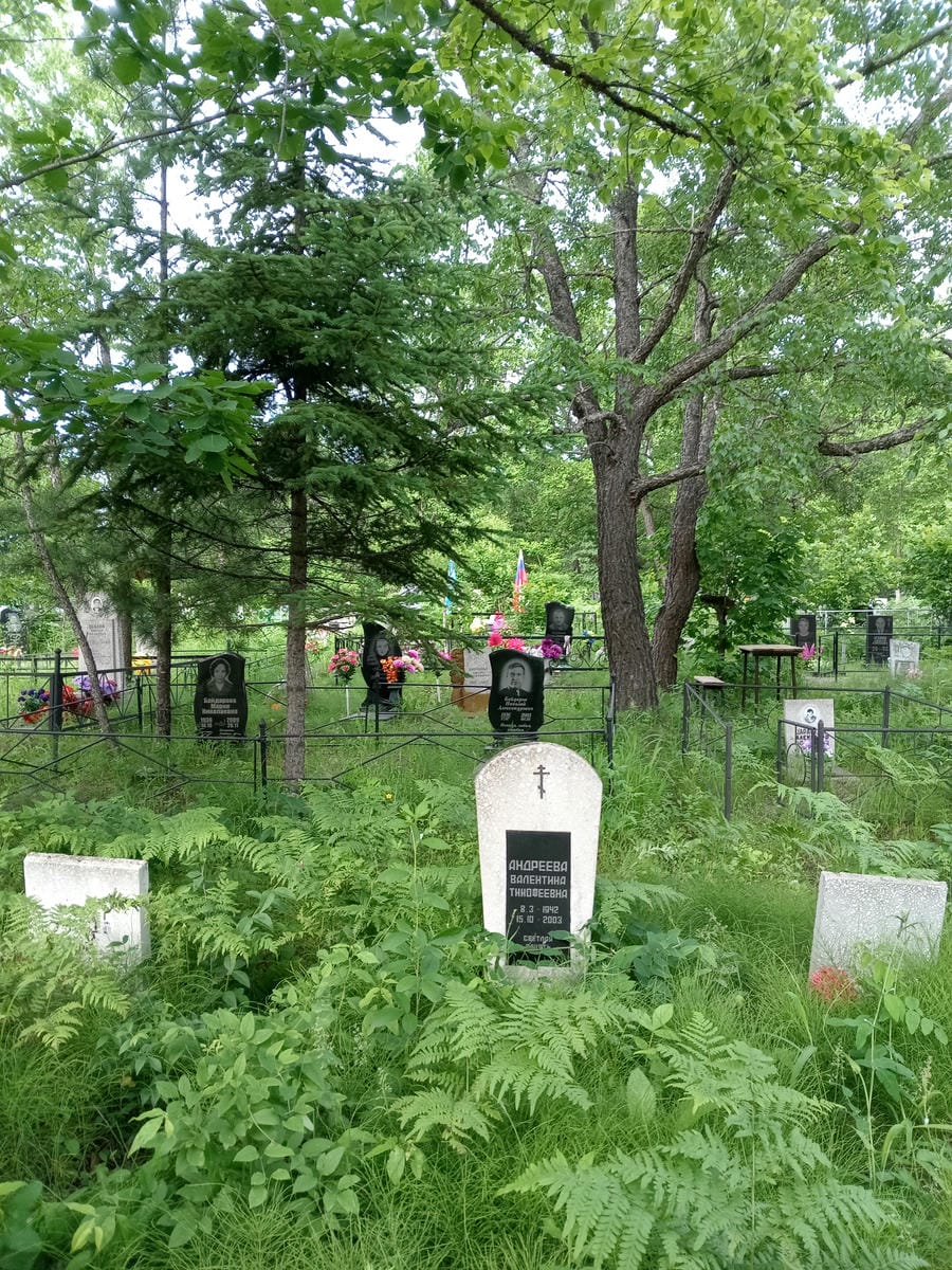 8d8afbe5-2a0c-44ee-a7a6-3f2bcf6e2d22 Андреева Валентина Тимофеевна