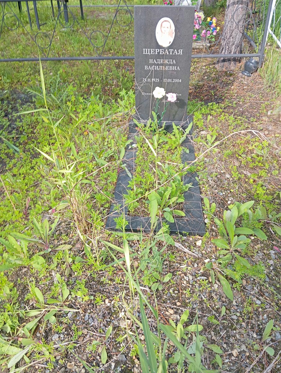 Щербатая Надежда Васильевна