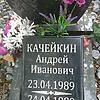 Качейкин Андрей Иванович