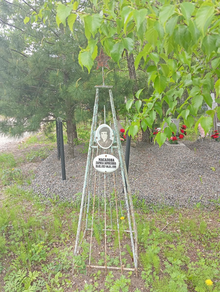 8ea5a8d6-5f47-4935-a8a9-86b779883f39 Масалова Лариса Борисовна