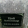 Цой Александр Неизвестно