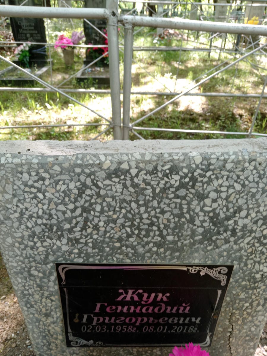 8f610a54-a5ee-4328-9b74-077e6d36b9cc Жук Геннадий Григорьевич