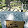 Симонова Ульяночка Неизвестно