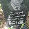 9039b073-9cd7-46c8-9f2c-6fdeff78e0ce Тригуб Анатолий Семенович