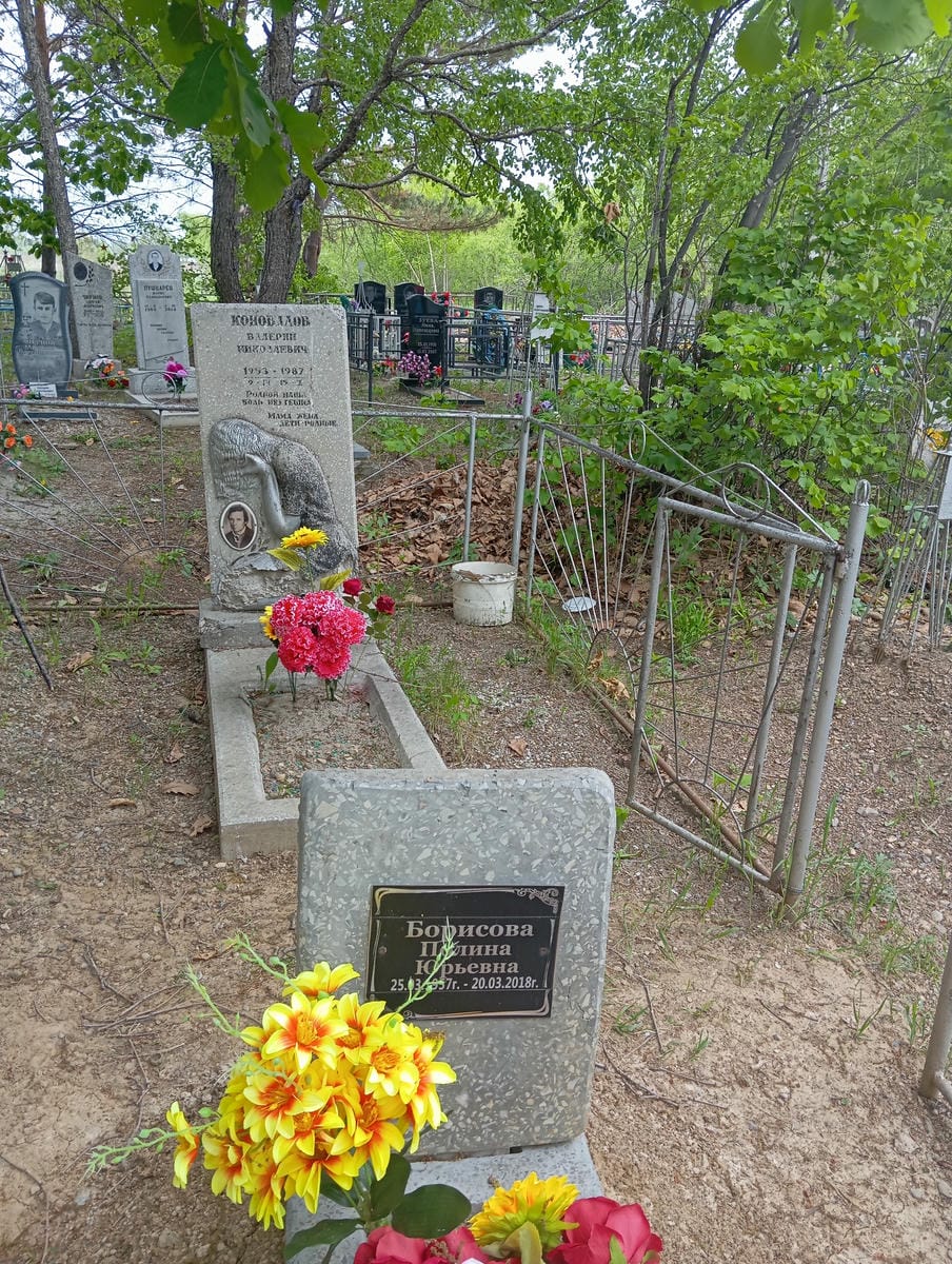 Борисова Полина Юрьевна