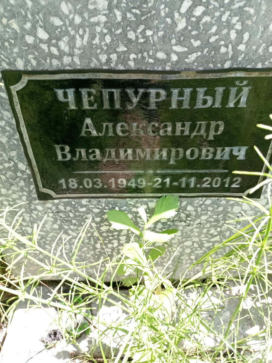 90b4a3aa-a54d-49b4-8bc8-e238311980db Чепурный Александр Владимирович