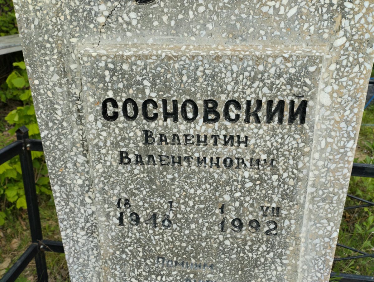 90f528be-115a-40cd-9362-1899a81b8d25 Сосновский Валентин Валентинович