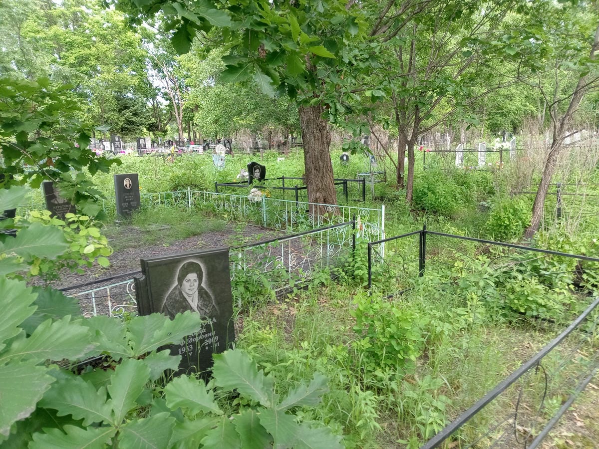 9103fb1b-8ae0-4bcd-aace-8ec869ae120a Федорова Анна Федоровна