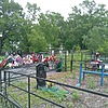 Добрынина Елена Юрьевна