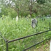 Карпова Александра Дмитриевна
