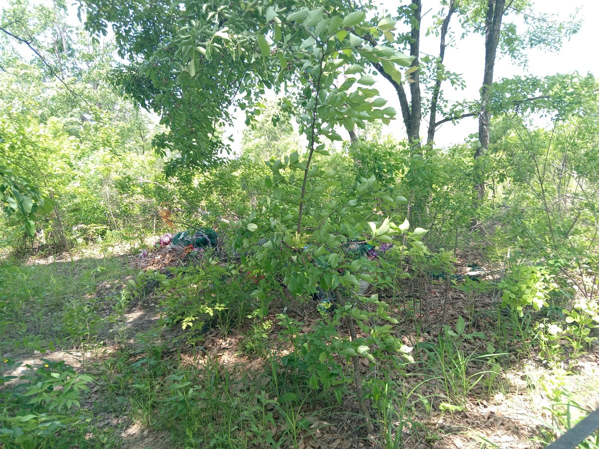 929705c4-579f-4690-b916-3adb96a5826e Неизвестно Неизвестно Неизвестно