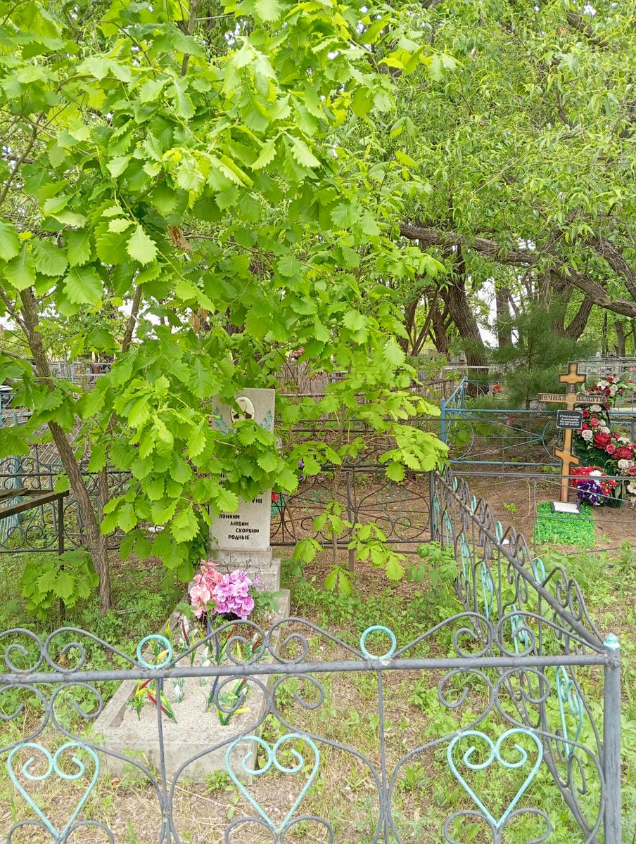 92b49103-4bac-4484-aa81-a5c82a751ca8 Чилимов Иннокентий Иннокентьевич