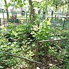 Коробов Николай Васильевич