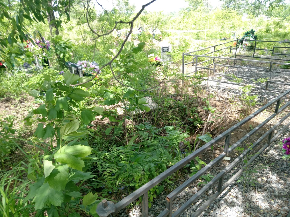 9322a69c-b3ee-40ce-b360-cdf899add072 Какодей Александр Дмитриевич