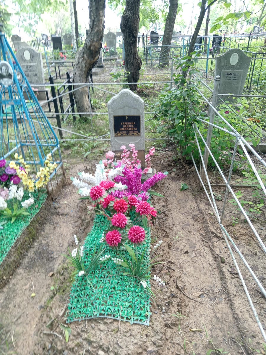 932b3bdd-16ff-4b86-bd14-e7d885f2729d Карелина Лариса Николаевна