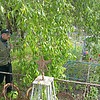 Сечка Николай Иванович