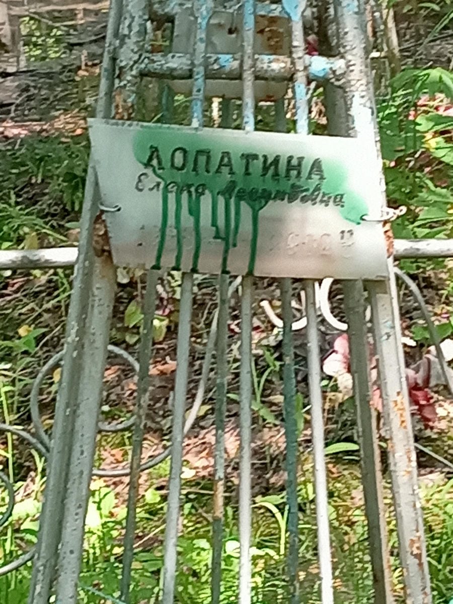 93b9160a-e300-4dae-89e7-fa51646e7dd1 Лопатина Елена Денисовна
