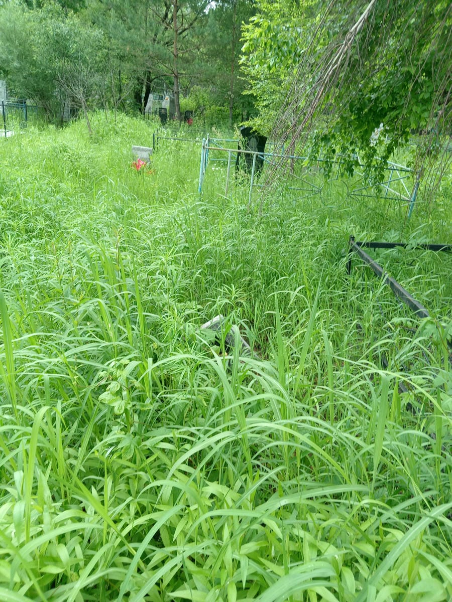 Неизвестно Неизвестно Неизвестно